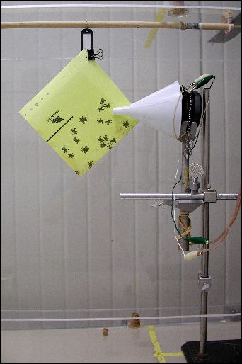 Sticky paper in contact with funnel, in contact with loudspeaker held in place by a clamp stand.